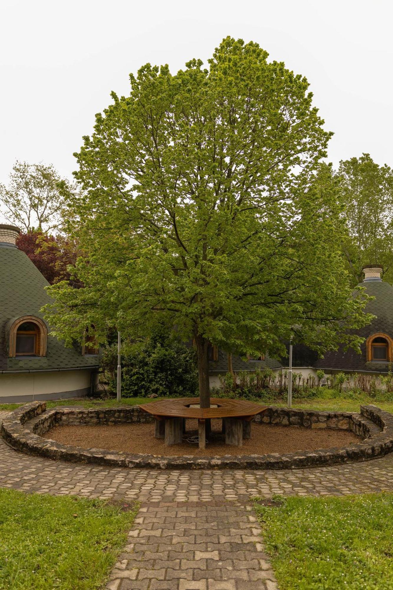 Gesztenye Nyaralopark Balatonudvari Dış mekan fotoğraf
